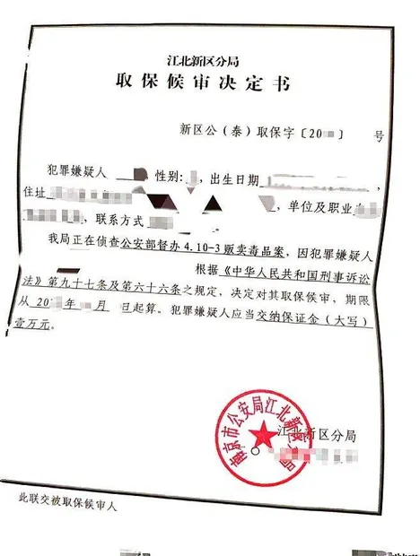南京刑事辩护法律文书实拍14：销售假冒注册商标的商品罪 / 缓刑；公安机关不报捕，直接取保（同类文书示例，已脱敏）
